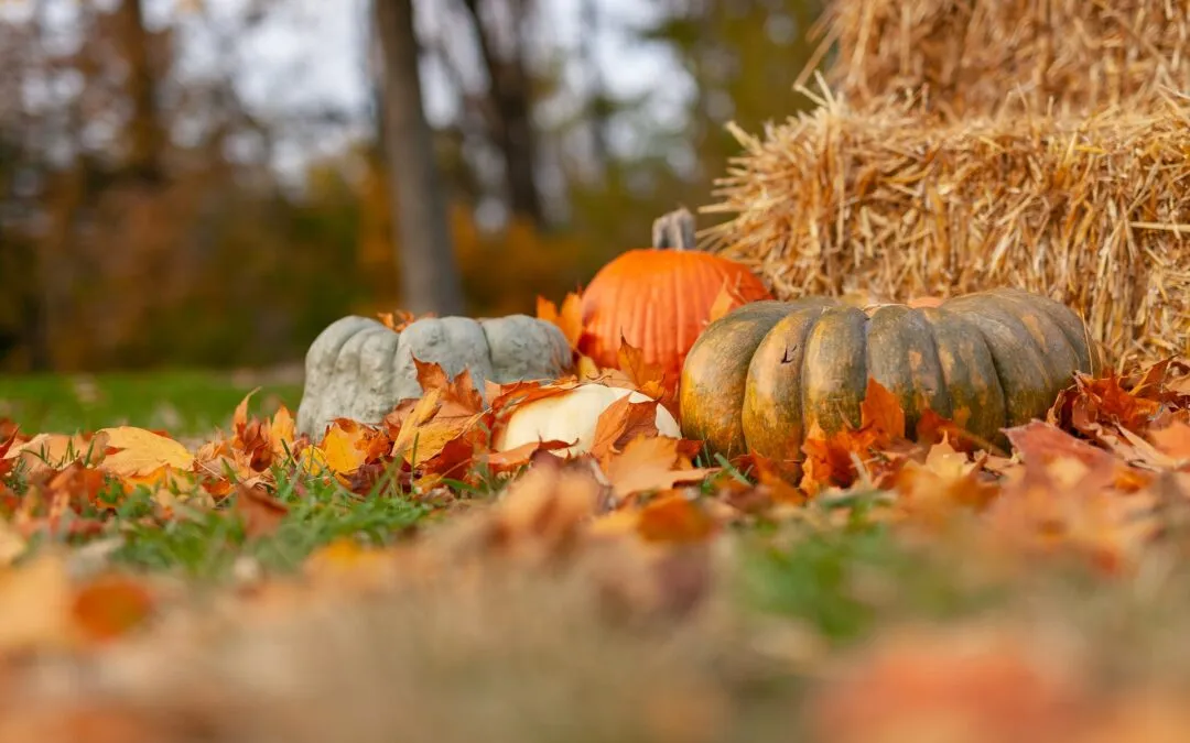 4 Easy Tips to Make Moving Easier on Thanksgiving