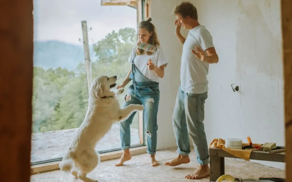 Moving with pets in Chicago